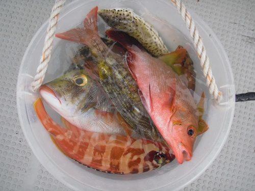 ゲストハウス備瀬の海 Eksteriør billede